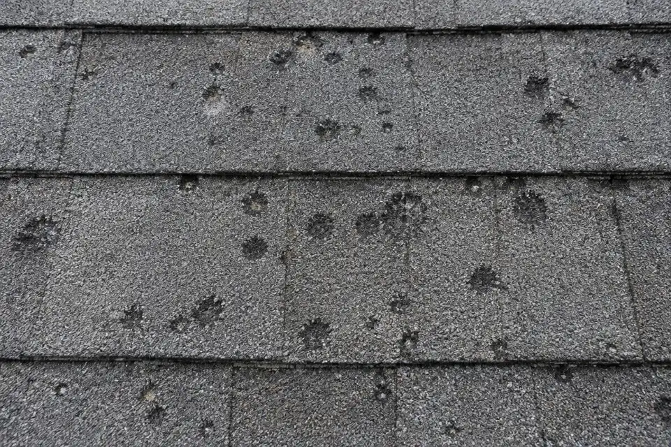Illustrative photo of asphalt shingles with dark hail impact marks